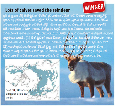 rdeer.png
