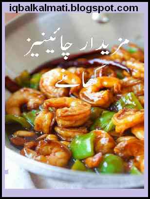 Chinese Cooking Video Download