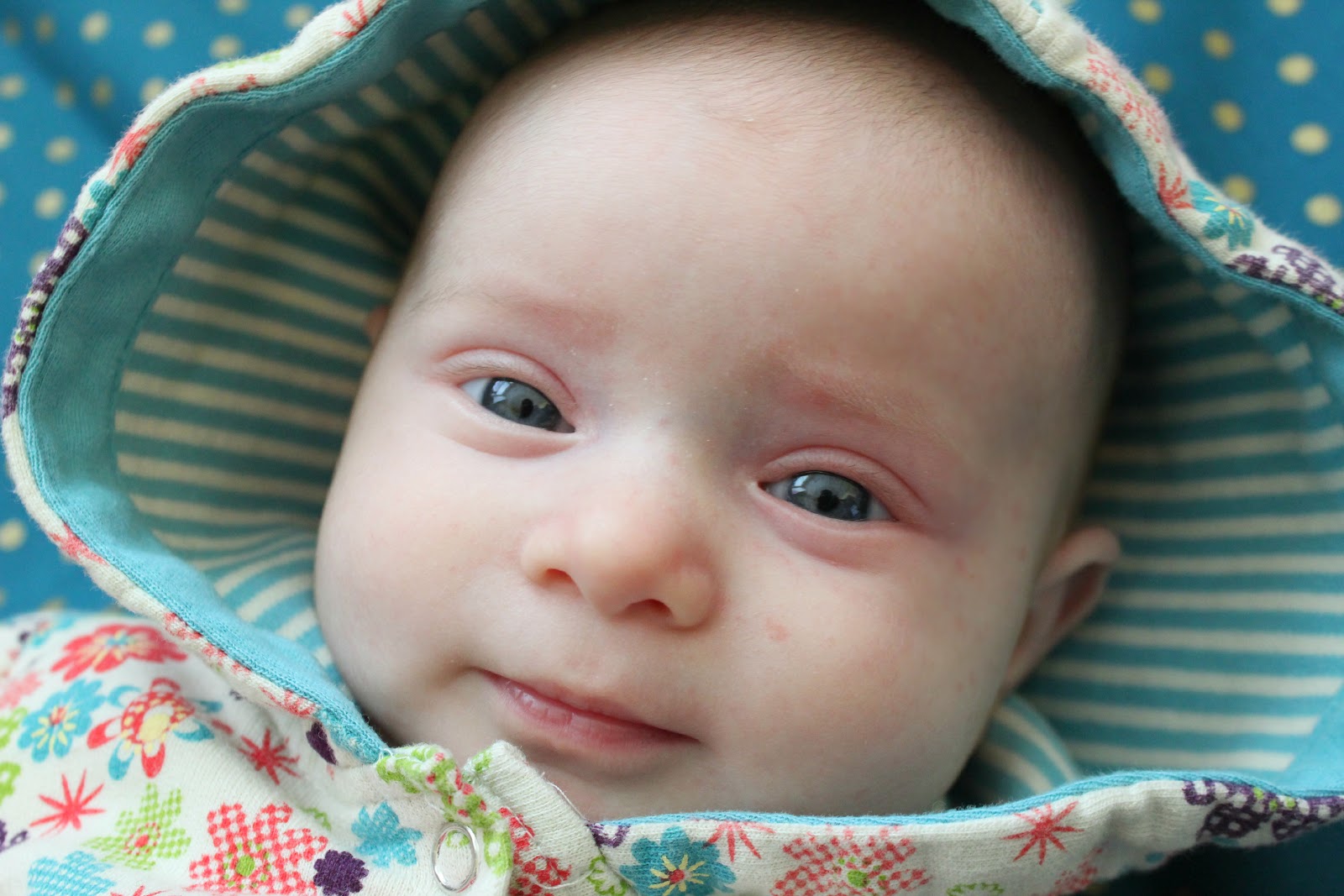 Wood and Cloth Too Many Pictures Picture Shelf Project