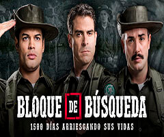 Bloque de Búsqueda Telenovela Bloque de Búsqueda