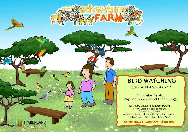 adventure farm birdwatching adventure farm birdwatching rate