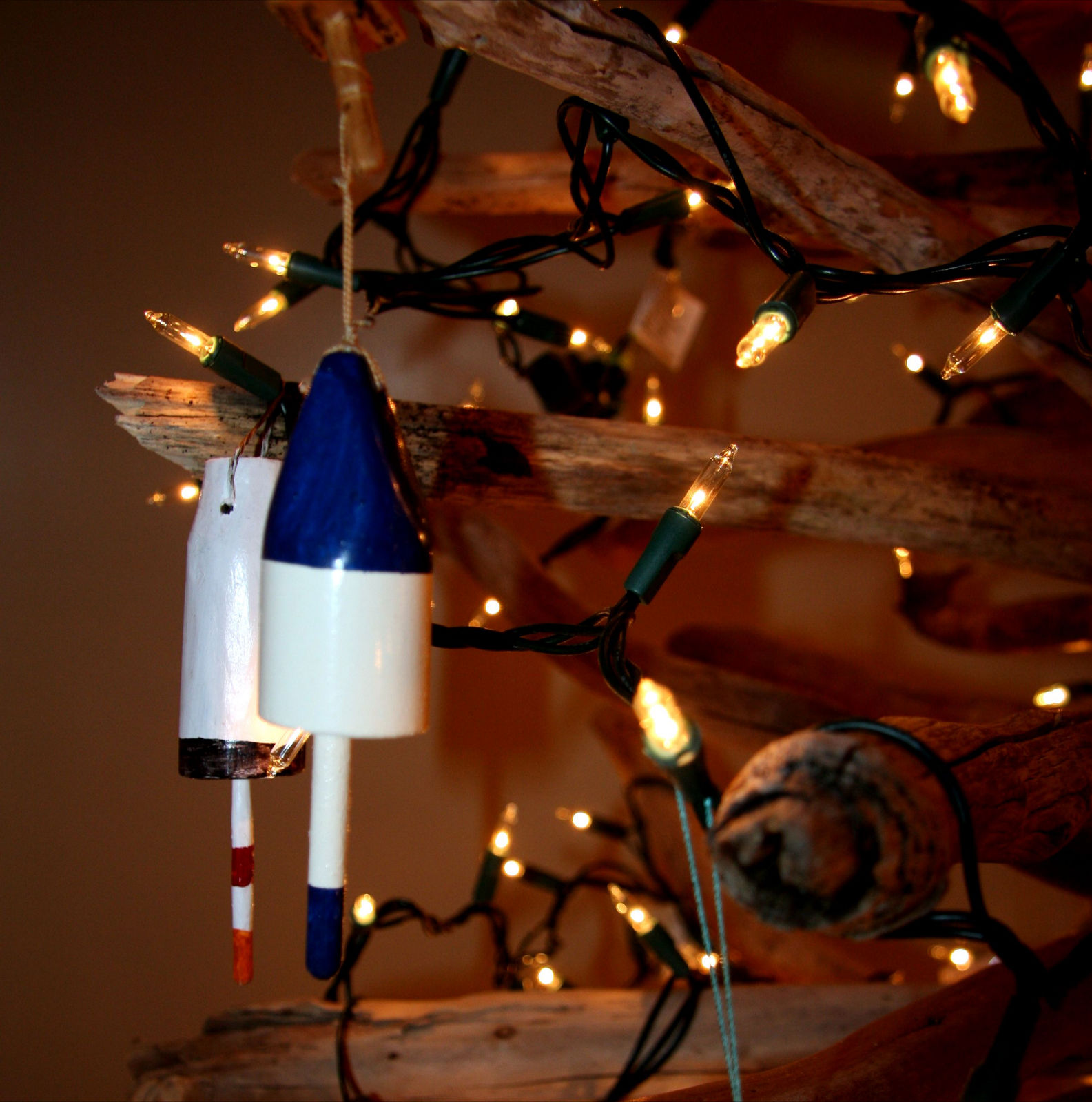 Discover Shelburne County Christmas Trees Nova Scotia style!