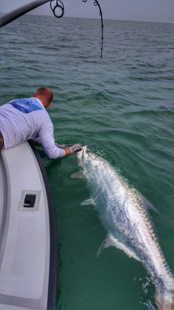 in the spread fishing videos tarpon site casting seth horne