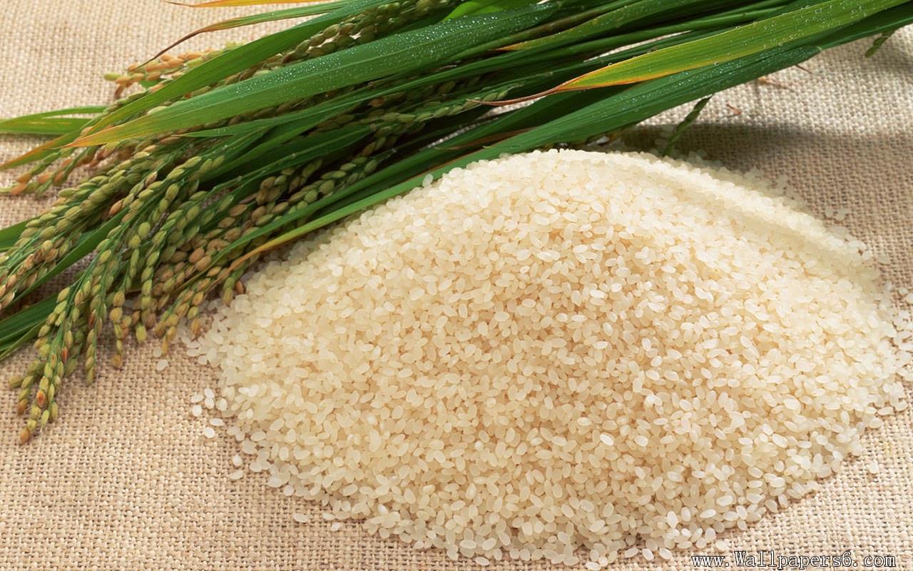 Storage of Rice
