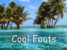 Cool Facts