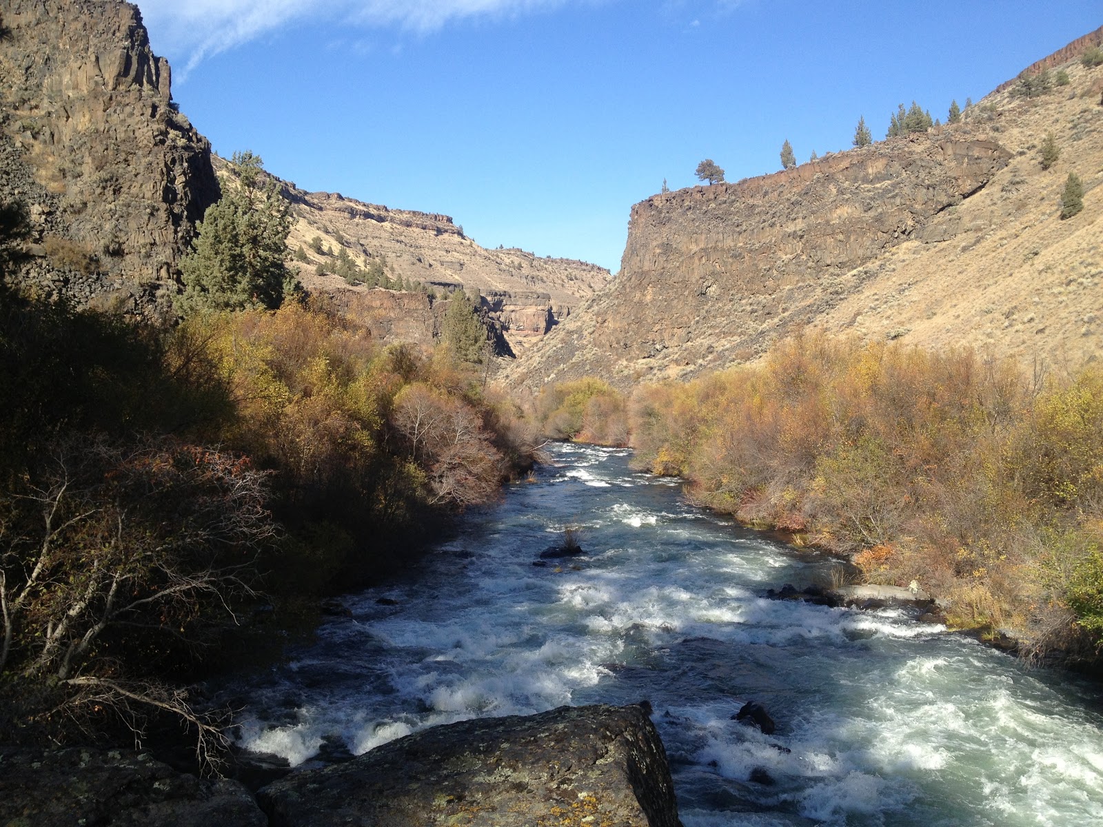 Alder Springs Trail High Desert Beauty Along Whychus Creek