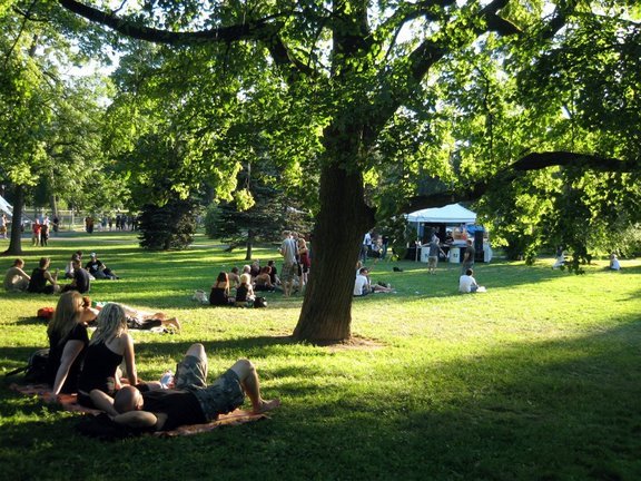 transparent-my-dear-turku
