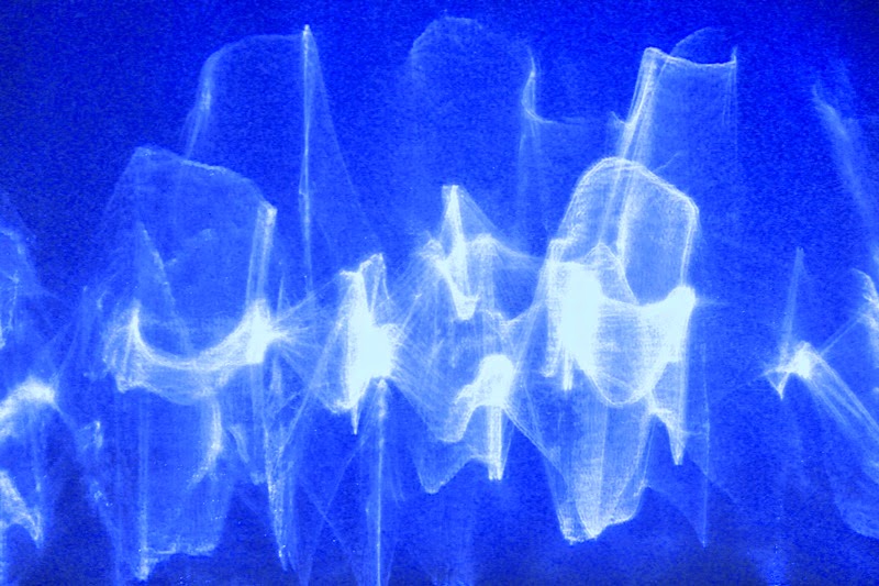 The Sky Is My Garden Light Through My Shower Door