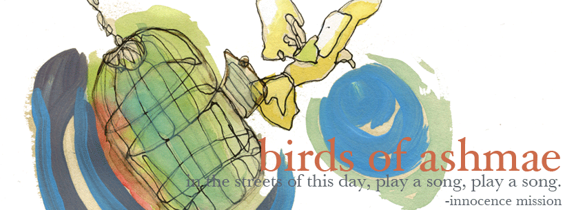 All the Birds of This Day
