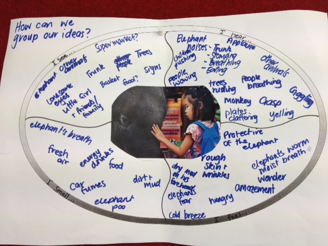 Room 19 Learning window: Circle maps