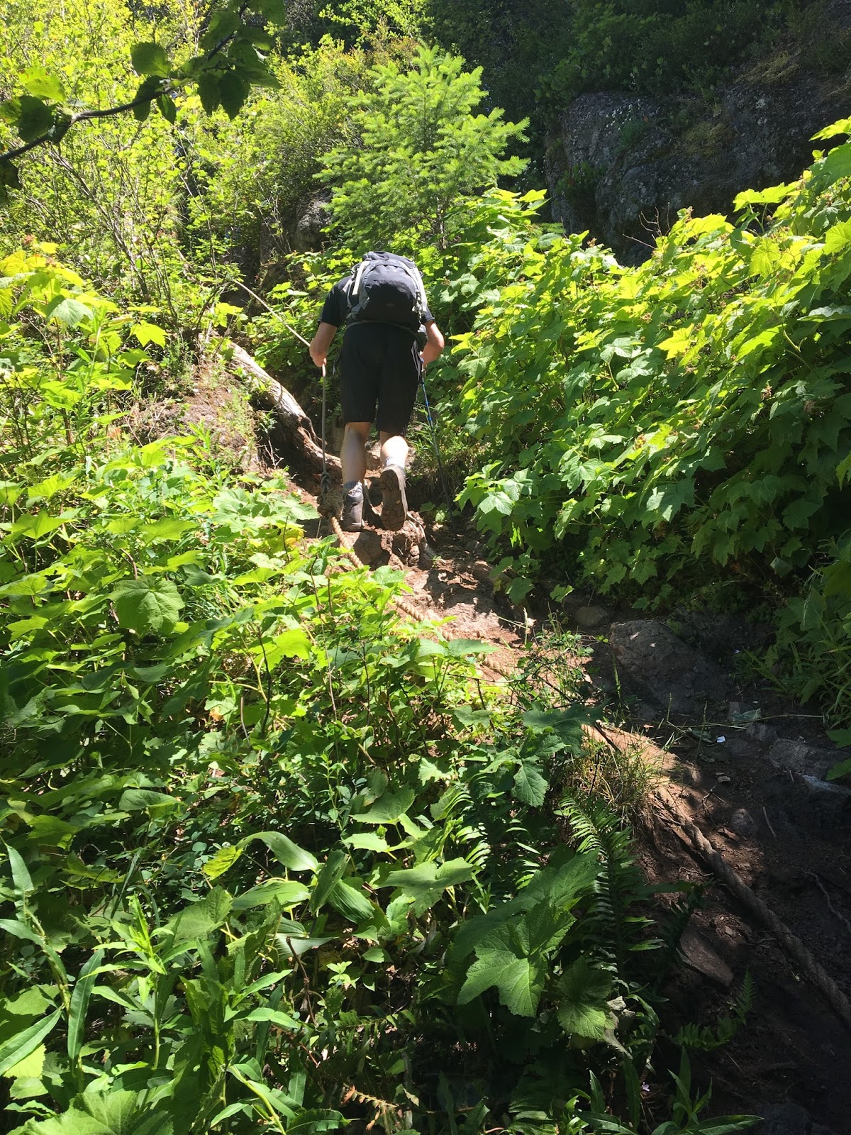Elk Mountain Kings Mountain loop
