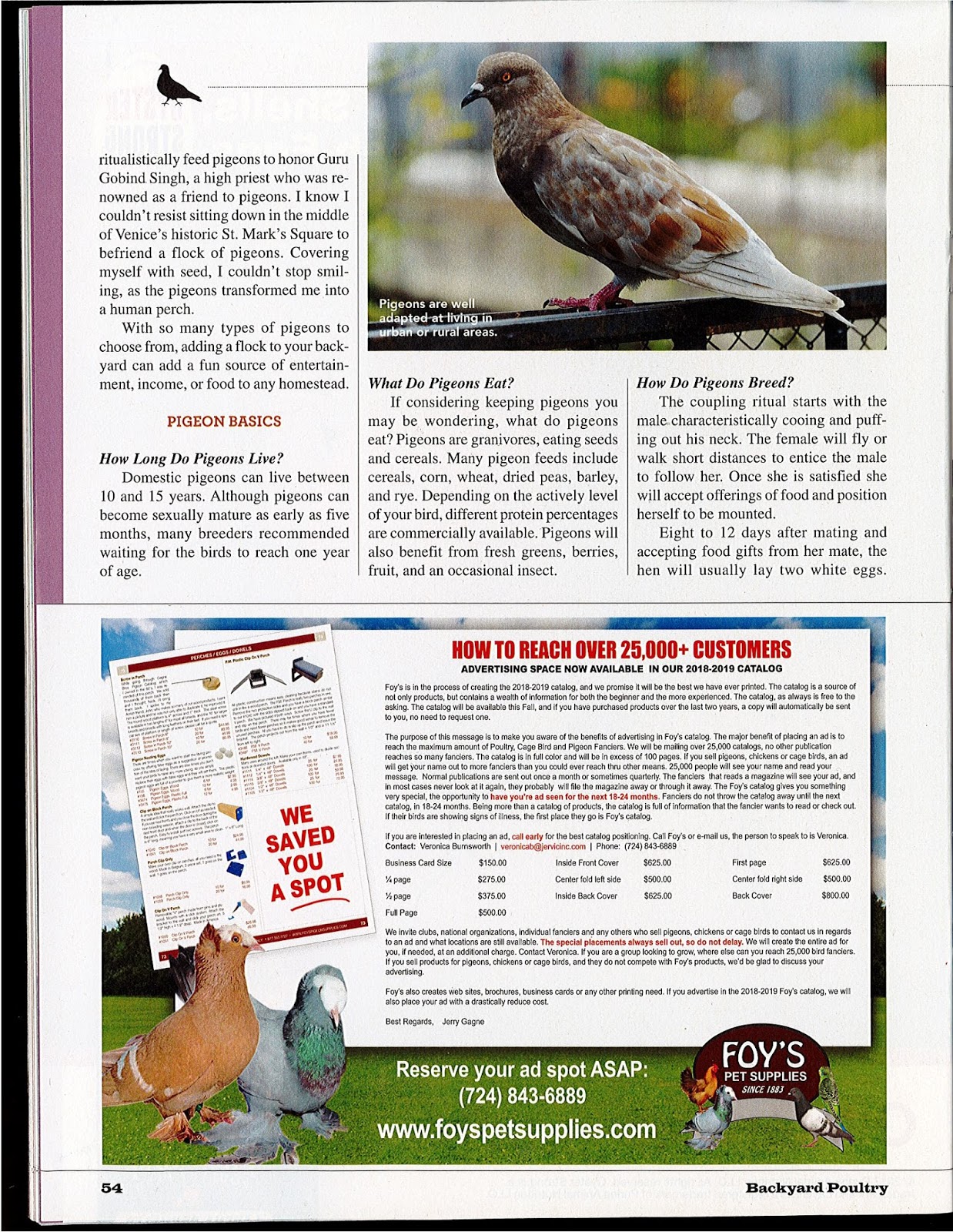 AMERICAN RACING PIGEON UNION Backyard Poultry 4part series, written