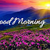 Good morning!!!