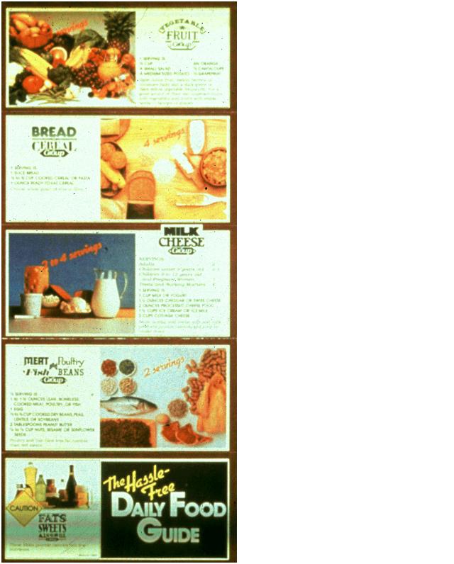 Hassle Free Daily Food Guide Hassle Free Daily Food Guide