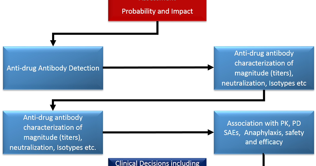 Immunogenicity Testing Assay Validations Regulatory Perspective and