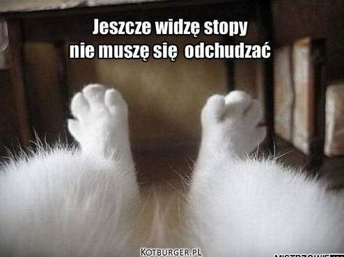 https://4.bp.blogspot.com/-RYE6KT-J48Q/ThA0e4h2VUI/AAAAAAAAAj8/6JeFL4PPP58/s1600/stopy.jpg