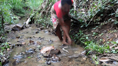3.gif