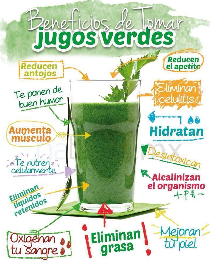 EL MUNDO DE LA ALIMENTACIÓN SANA LOS JUGOS VERDES Y SUS BENEFICIOS