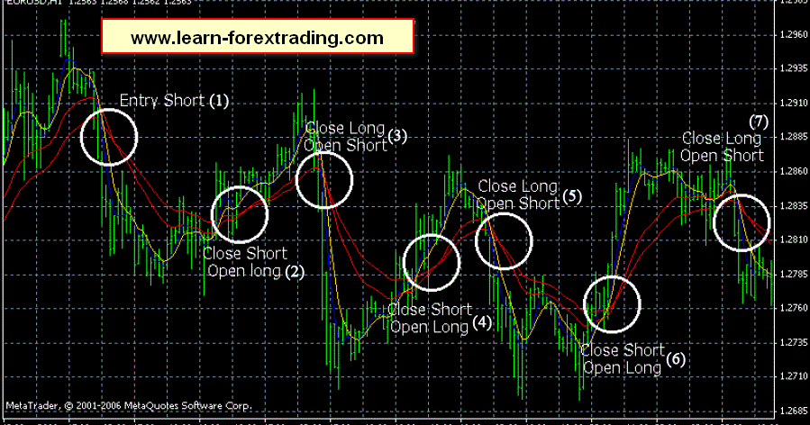 Wma trading system