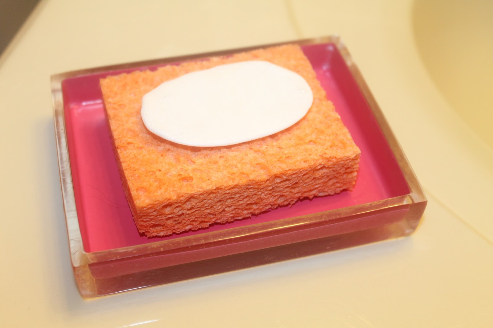 VineelaSiva Tip of the day7(Avoid soaking the soap in the soap box)