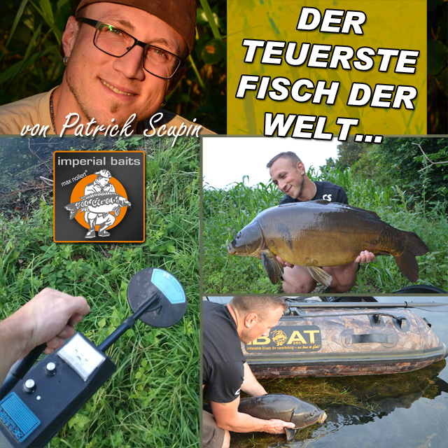 DER TEUERSTE FISCH DER WELT… jetzt aufm iBlog