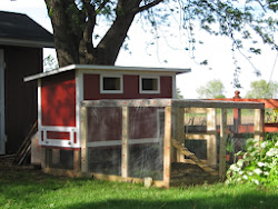 chicken coop building backyard coops tips plans coup build chickens exactly advice site