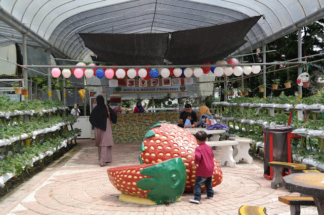 Taman Agroteknologi Mardi, Cameron Highland Taman Agroteknologi Mardi, Cameron Highland