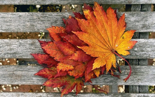Οκτώβριος  October