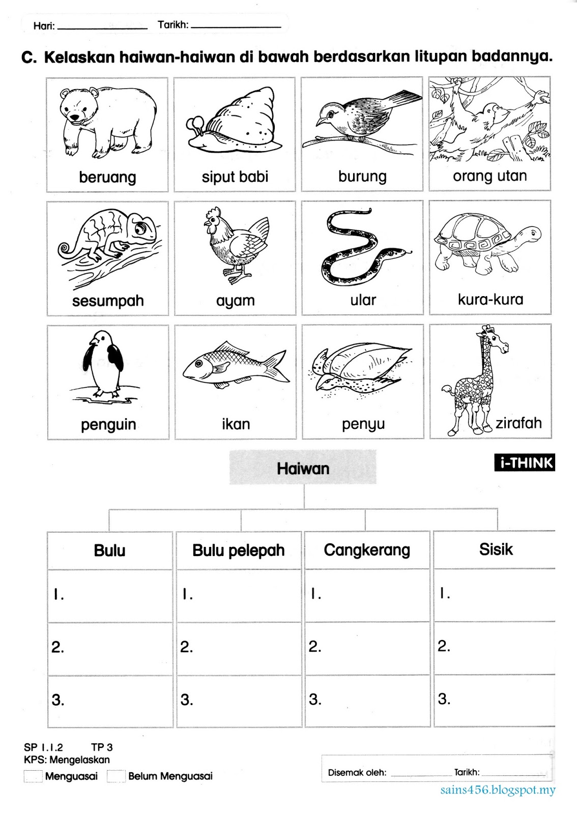 Lembaran Kerja Haiwan Liar Prasekolah Sains Aktiviti Lembaran Kerja