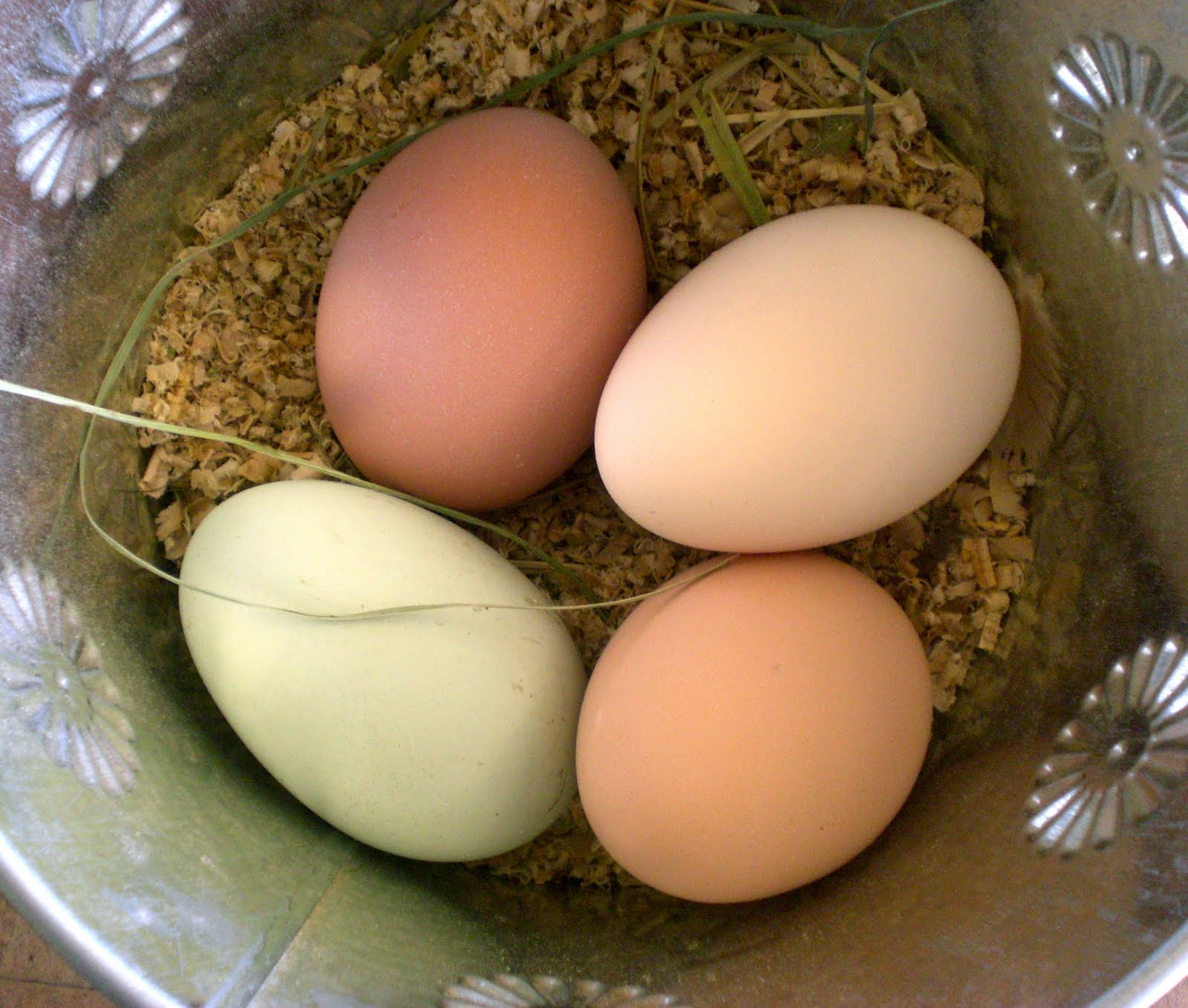 Gracie's Backyard Chickens Egg Nutrition Facts