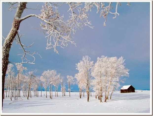خلفيات فصل الشتاء winter wallpapers موسم الثلوج لسطح مكتبك صورة عن قرب