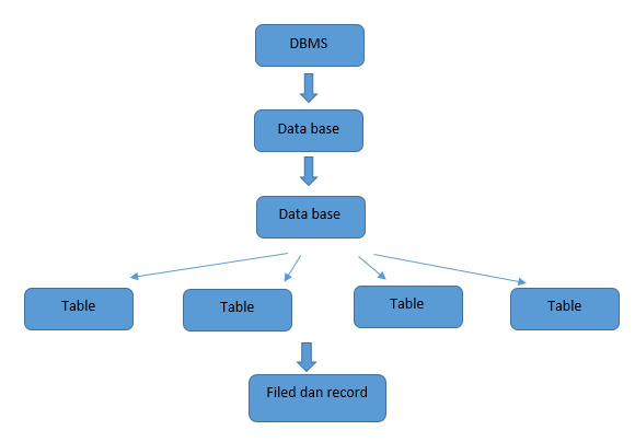 Struktur Basis Data Konsep Basis Data Dan Diagram Erd