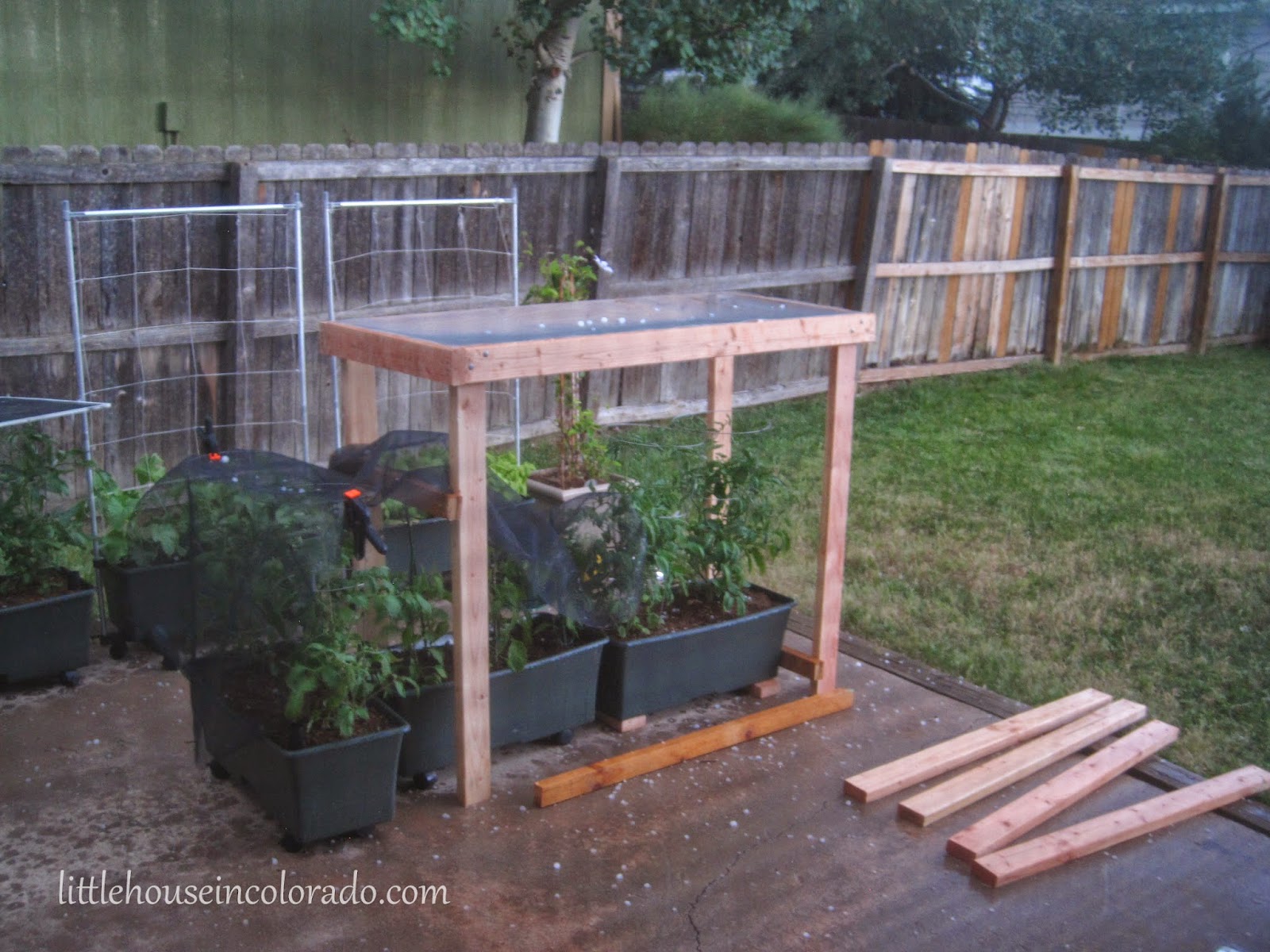 How To Protect Garden From Hail - Garden Ftempo