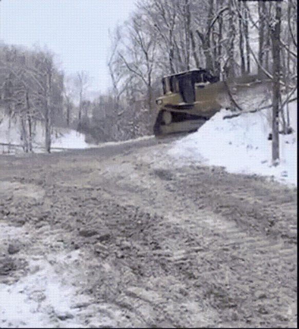TheFastandtheFuriousForestr.gif