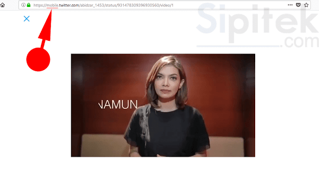 Cara Download Video di Twitter Cara Download Video di Twitter
