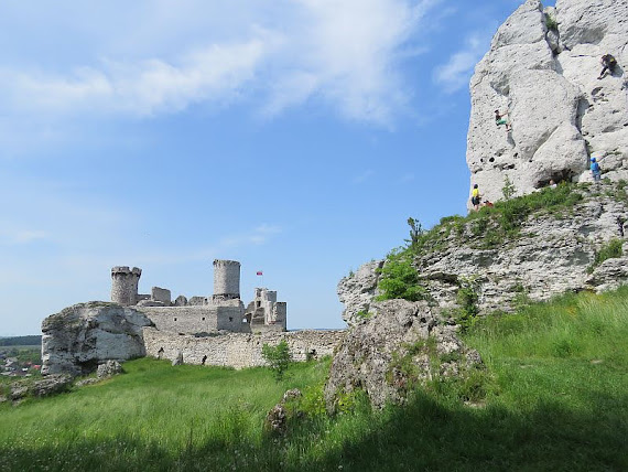 zamek Widok na zamek spod Niedźwiedzia