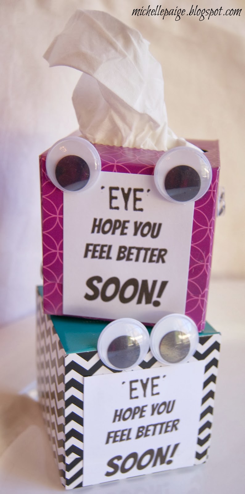 michelle paige blogs Get Well Soon Tissue Box Gift