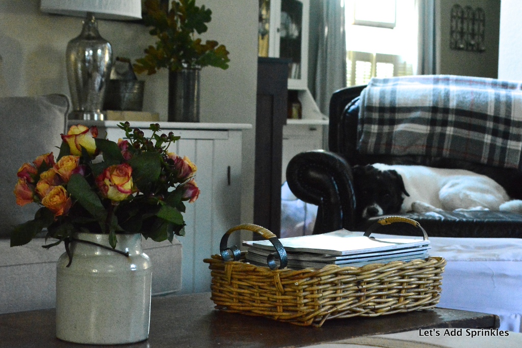 Let's Add Sprinkles Five Fall Essentials/ Essential 1 Plaid Throws