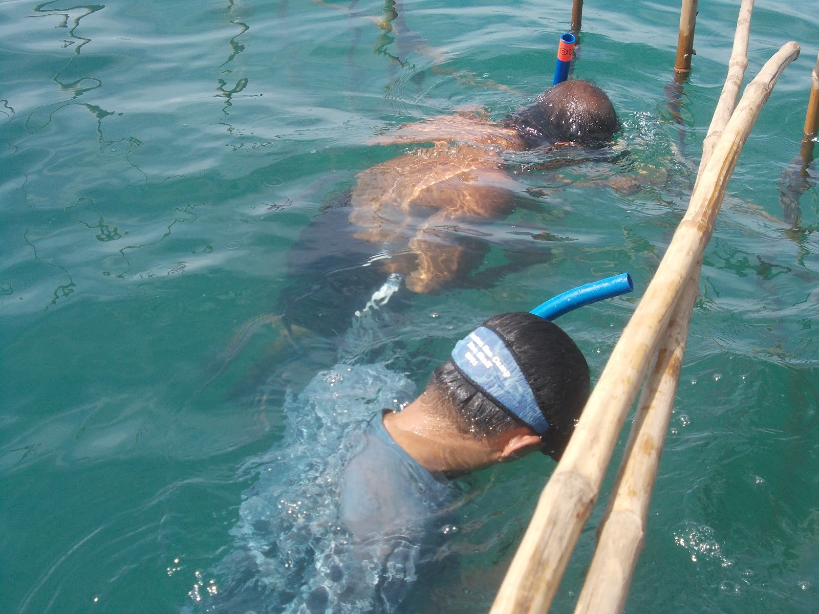 BanateBarotac Bay Resource Management Council, Inc. New Sites for