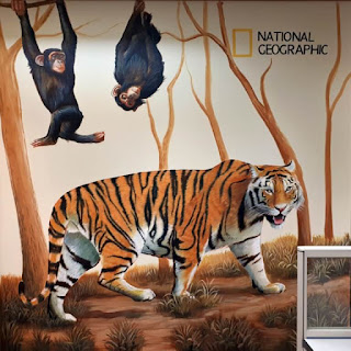 Jasa Tukang Cat Lukis Dinding 3 Dimensi Surabaya Jawa Timur NATIONAL GEO GRAPHIC Jasa Tukang Cat Lukis Dinding 3 Dimensi Surabaya Jawa Timur NATIONAL GEOGRAPHIC