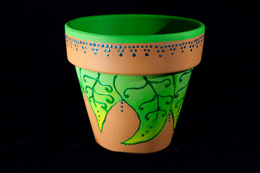 Lauren Petrovic Photography HandPainted Terracotta Pots FOR SALE!!!
