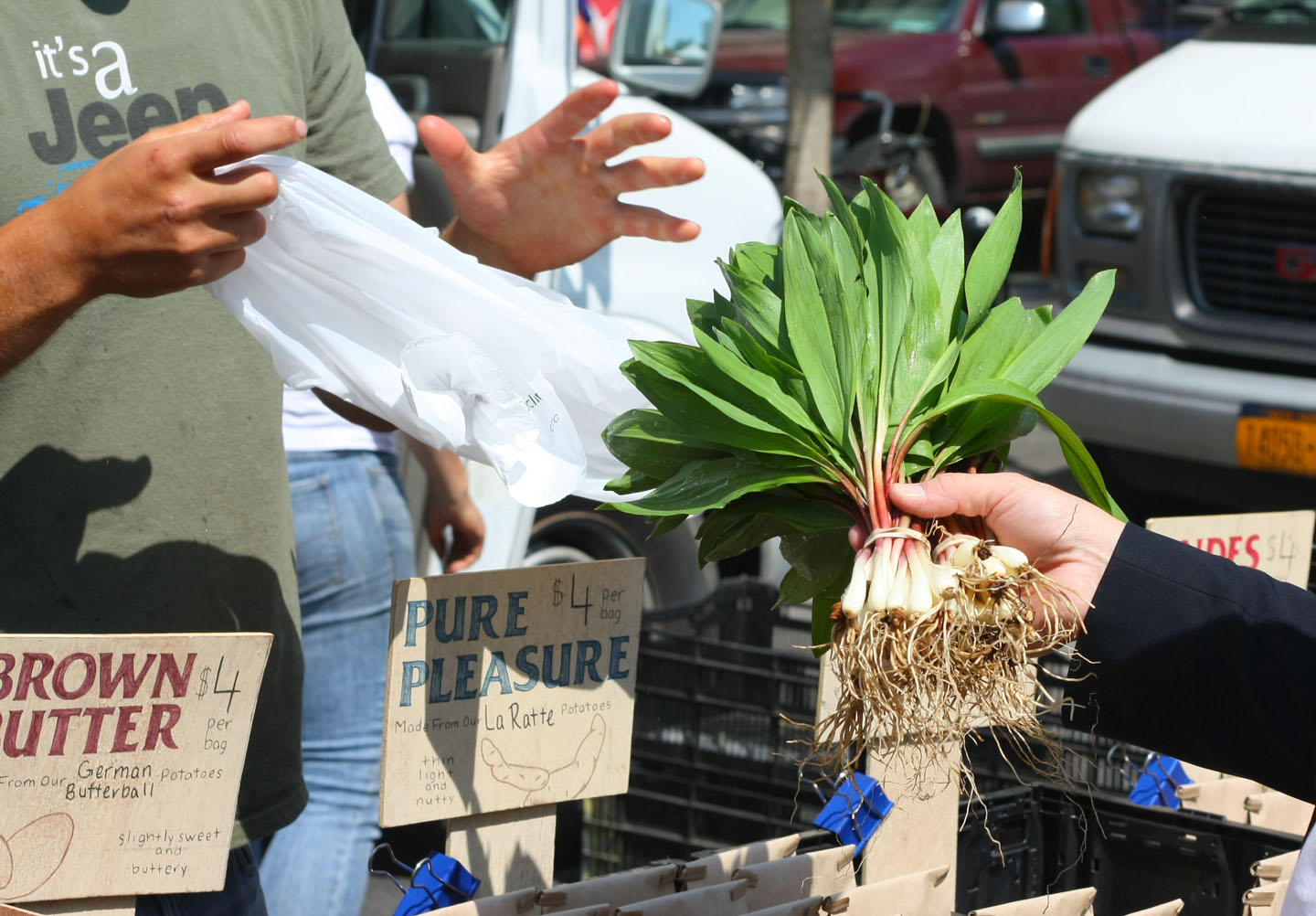 66 Square Feet (Plus) Union Square Farmers Market