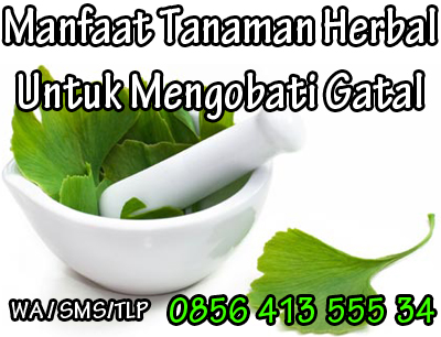 Foto Obat Herbal Untuk Mengobati Gatal ( Eksim )