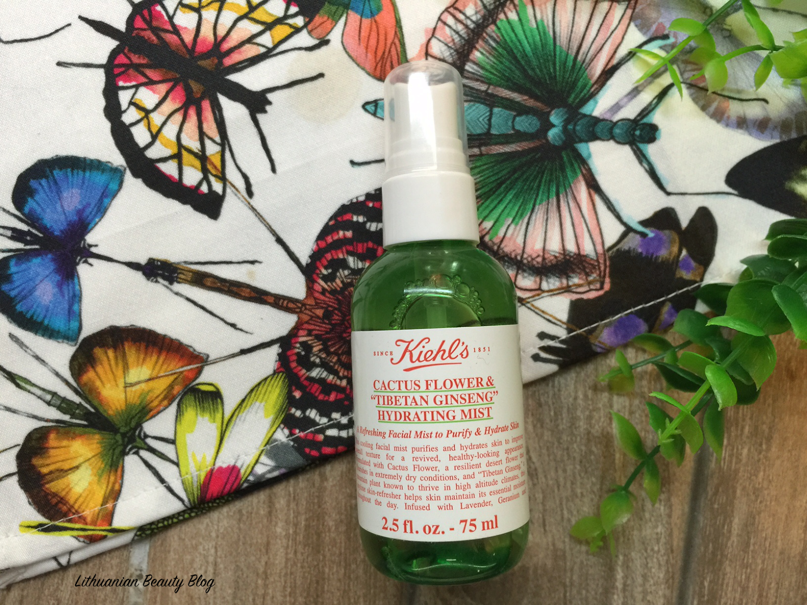 Atgaiva kartą dieną Kiehl's CACTUS FLOWER & “TIBETAN GINSENG