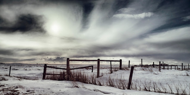 Alberta, prairies, landscape photography