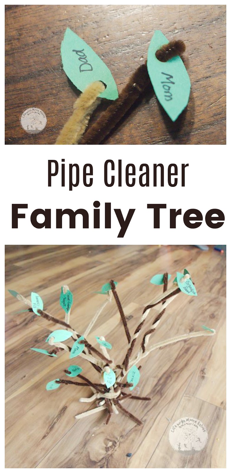 How to Make a 3D Family Tree Life with Moore Babies