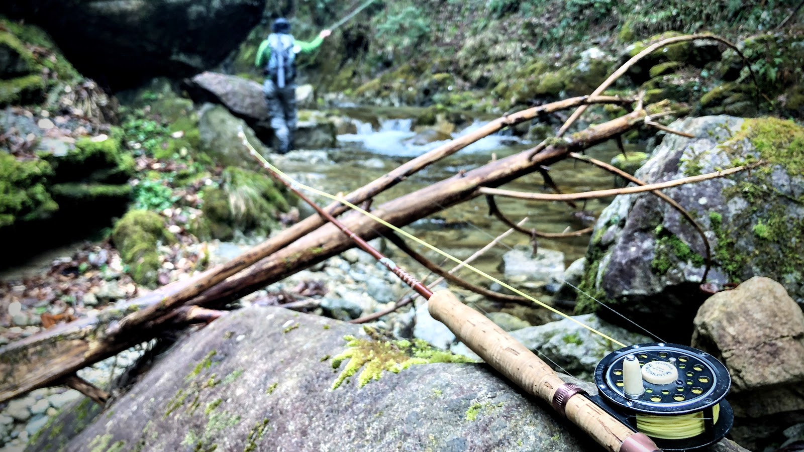 Fly Fishing 渓流解禁 Wild Life
