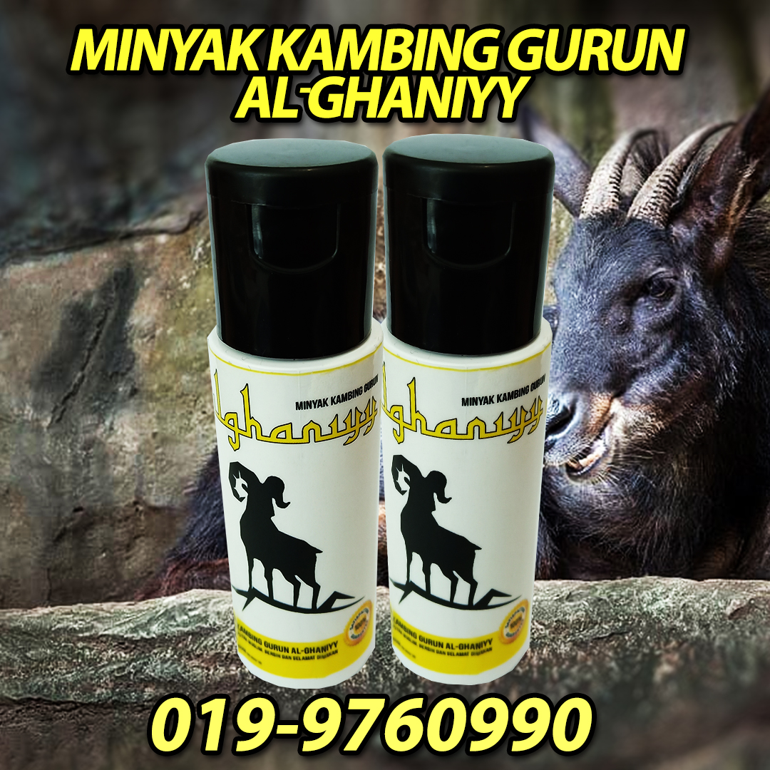 Cara Nak Buat Minyak Kambing Gurun - LolaabbGray