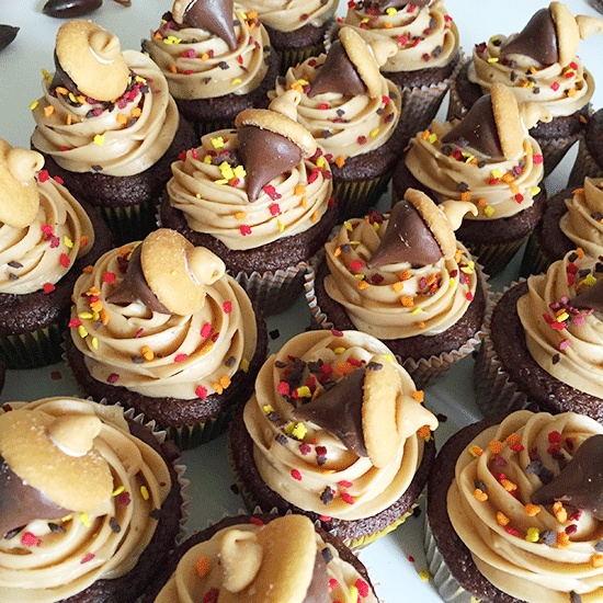 Fall Acorn Cupcakes – Will Bake for Shoes