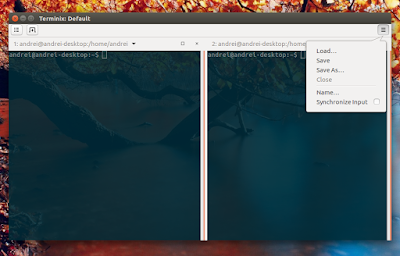 Terminix no client-side decorations Terminix no client-side decorations